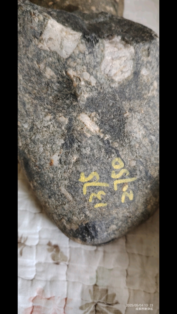 桂竹香的养护方法 - 花百科