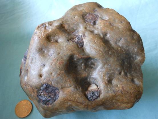 桂竹香的解释桂竹香的意思汉典“桂竹香”词语的解释