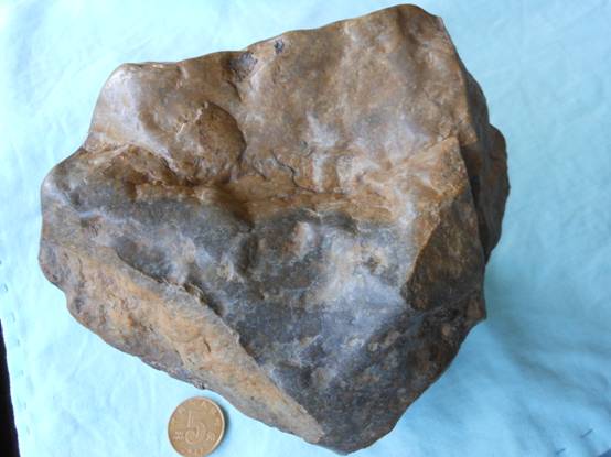 桂竹香（关于桂竹香介绍）-全球今热点